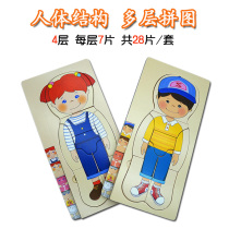 Wooden multi-layer human jigsaw human body jigsaw puzzle kindergarten childrens body structure early childhood education