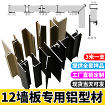 12mm wall panels side strips integrated wall panels aluminum alloy lines embedded Yin and Yang angle I-shaped decorative lines