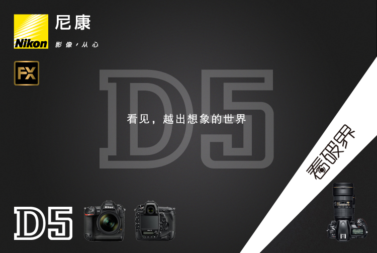 Nikon D5 SLR máy ảnh duy nhất XQD full frame chuyên nghiệp Taobao studio chụp HD máy ảnh kỹ thuật số