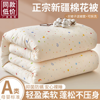 Quilt, Winter Quilt, Xinjiang Cotton Quilt, Single-Person Warm Cotton Padding, Quilt Core with Removable and Washable Cover, Autumn and Winter Single Winter Quilt