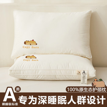 Class a Pillow for Neck Protection and Sleep Aid, Adult-Specific, Single Pack, Student Dormitory Pillow Core, Home Use, Pair Pack