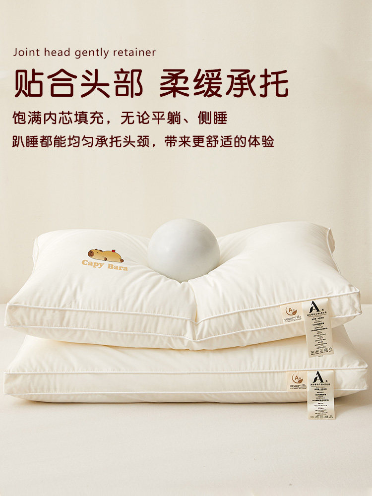 Class a Pillow for Neck Protection and Sleep Aid, Adult-Specific, Single Pack, Student Dormitory Pillow Core, Home Use, Pair Pack