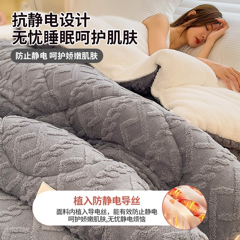 Taffeta Lamb Wool Quilt, Thickened for Winter Warmth, Winter Quilt, Cotton Quilt, Dormitory Single Bed Quilt, Quilt Core, 2025 New Model