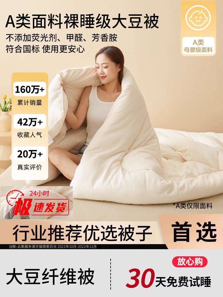 Soybean Fiber Quilt Core, Suitable for All Seasons, Spring and Autumn Quilt, 2025 New Model, Single Student Dormitory Quilt, Thick Winter Quilt