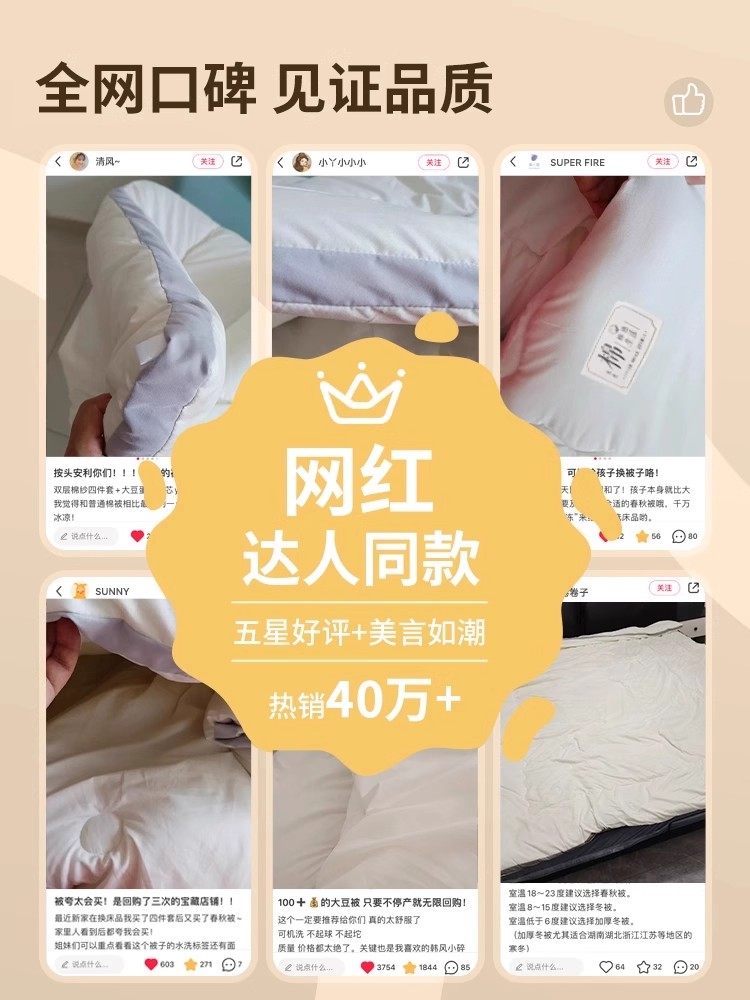 Soybean Fiber Quilt Core, Suitable for All Seasons, Spring and Autumn Quilt, 2025 New Model, Single Student Dormitory Quilt, Thick Winter Quilt