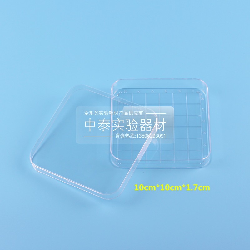 Bacterial petri dish Square petri dish 10×10cm square plastic petri dish Tick mark epoxy sterilization