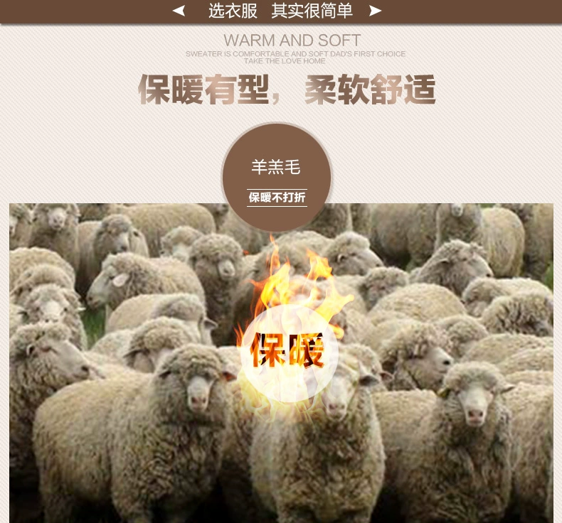 Mùa đông của nam giới áo len kích thước lớn không có khả năng bóng cashmere áo len vòng cổ áo thun dày ấm cũ trung niên cha nạp quần áo thu đông nam