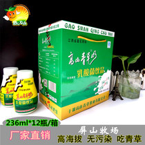 Yu All Alpine Green Grass Dairy Milk Whole Tank Milk Jiangxi Gannan Special Produce Fermented Breakfast Milk Students Lactic Acid Bacteria Yogurt Yogurt