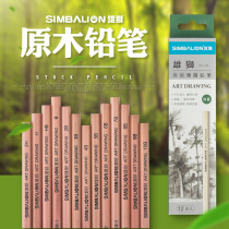 Lion sketch pencil hb 2H children sketching pen 2b 4b 6b painting charcoal pen Primary School students 2 than pencil wholesale