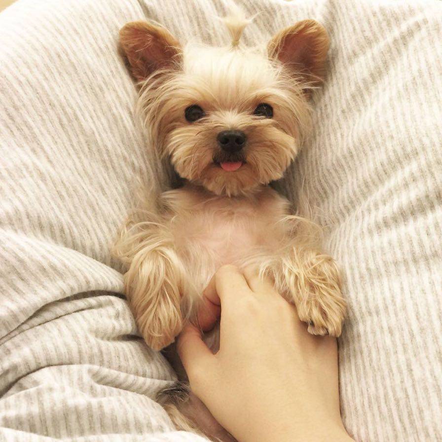 Order abnormal freight pat-up