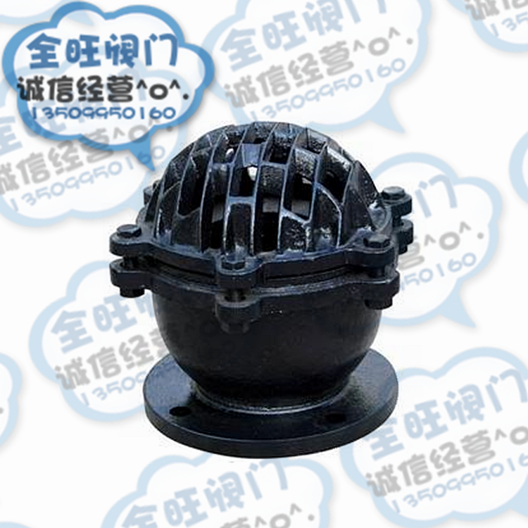 Thickened H42X-6 10 cast iron flange lifting bottom valve Pump flower basket head check valve lotus head