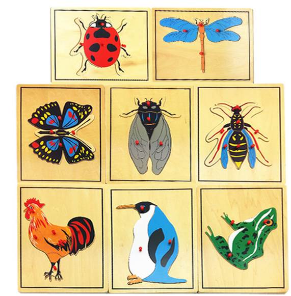 Monte's teaching aids Montessori Montessori Children's Puzzle Toy Animals And Plants International Edition Early Education