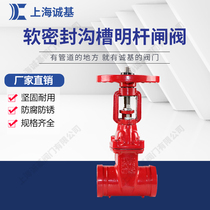 Manufacturers supply soft seal groove bright rod gate valve Elastic seat seal cast iron fire groove bright rod gate valve