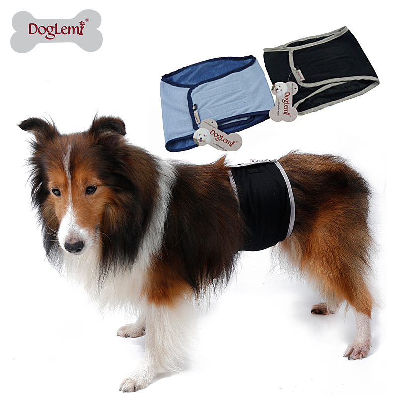 Male dog polite belt small, medium and large dog sanitary pants estrus period golden retriever big dog anti-harassment physiological belt protective pants