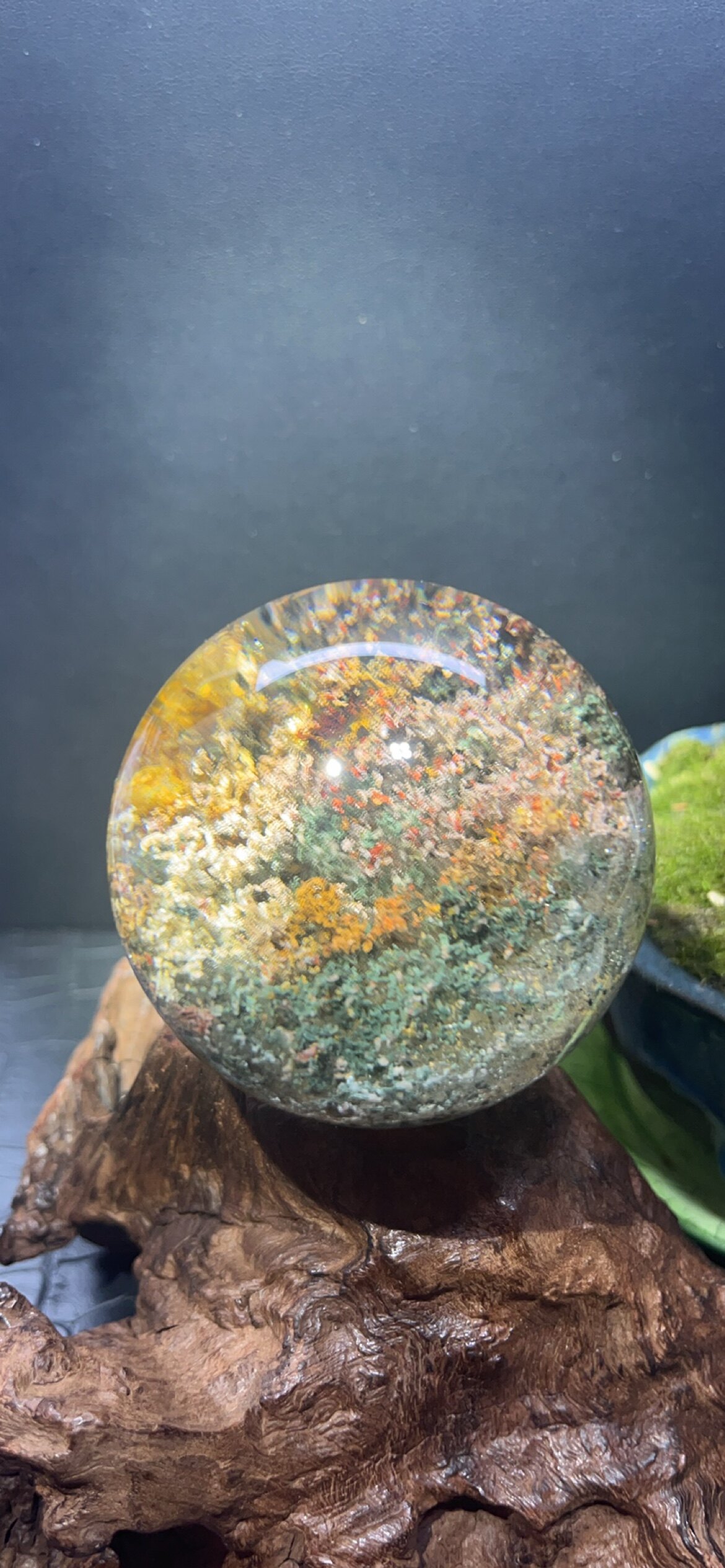 O1CN01RidaOe21K1YVGCXrp_!!