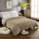 Plush chăn giường bông bao gồm tờ đơn thư mục bông và chăn cashmere đơn rắn tấm màu thảm mùa đông dày - Trải giường thảm giường ngủ