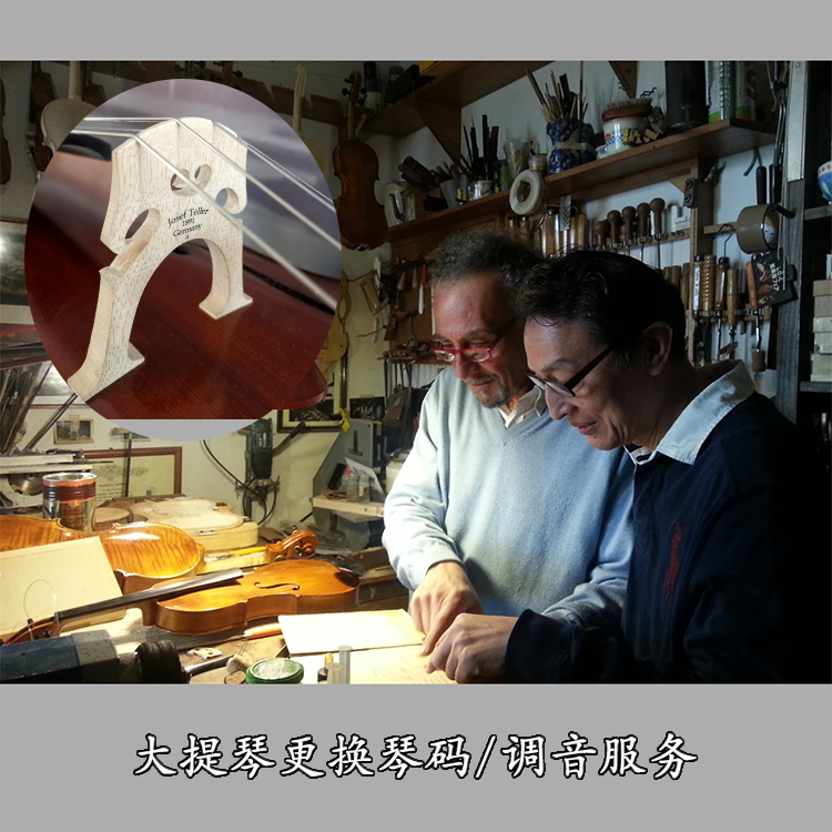 European professional cello code formulation and replacement of modulation and related technical maintenance services European tuning technology