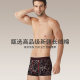 Septwolves Men's Underwear Boys Cotton Pure Breathable Antibacterial Crotch Shorts Boxer Briefs Men's Summer Gift Box