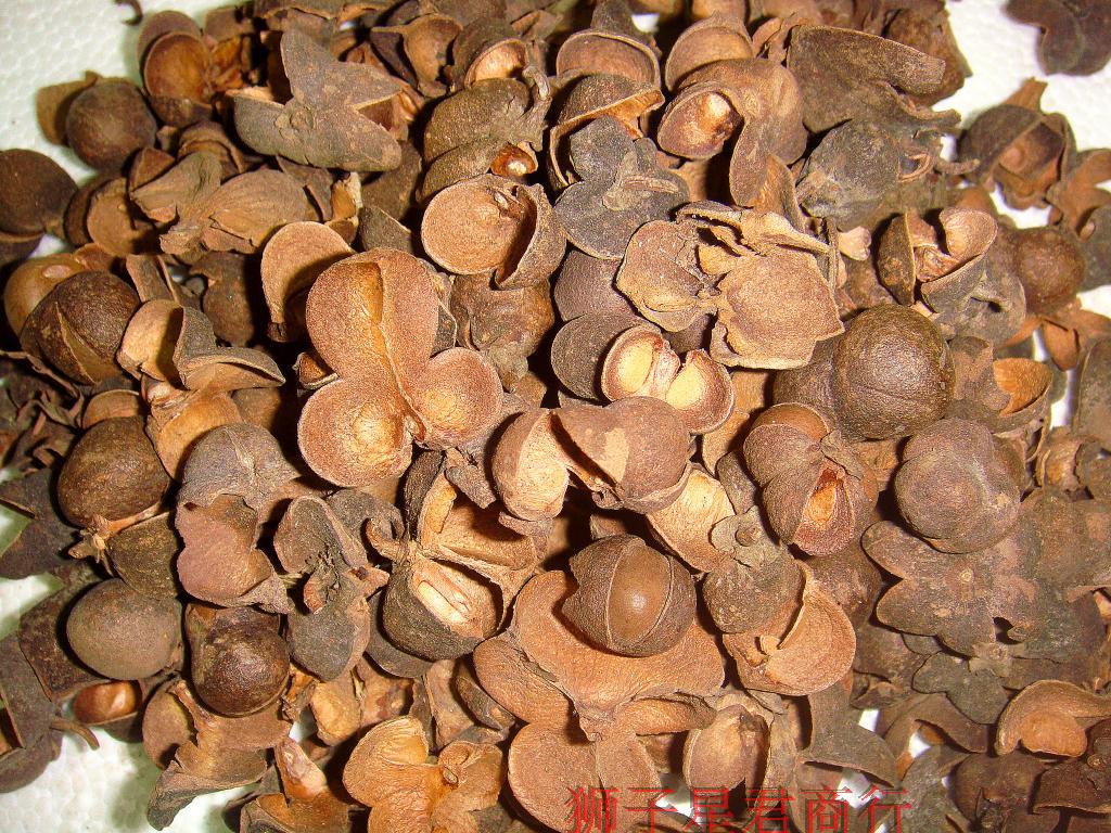 () 2008 Wuzhou farmers Six Fort Tea Natural Old Tea Case 500g black tea shell