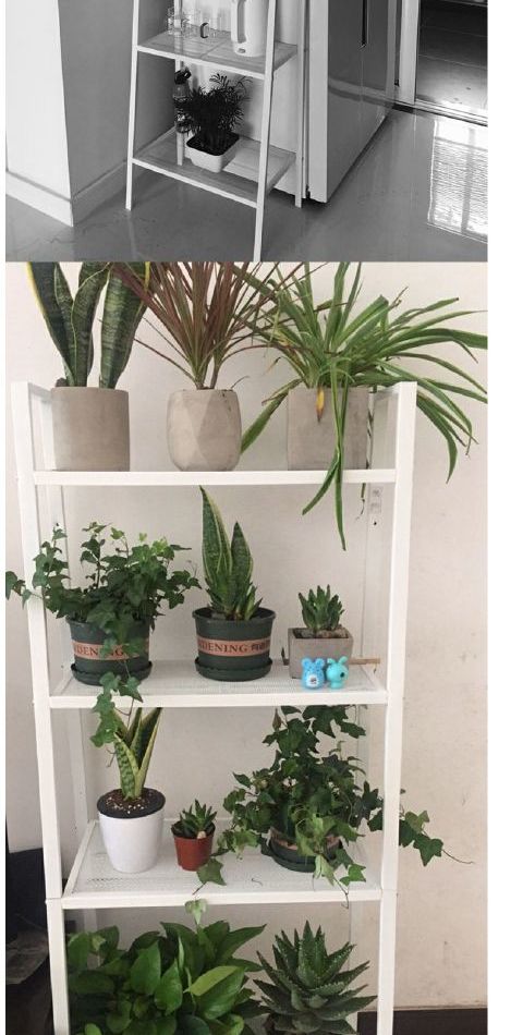 IKEA mua trong nước Lebenberg Kệ tủ Hoa đứng Kệ phòng ngủ Kệ phòng khách Phòng lưu trữ - Kệ kệ đựng sách