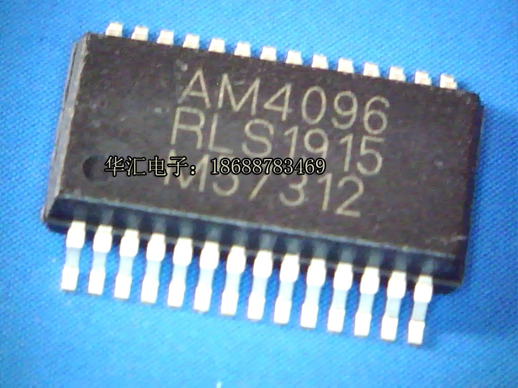 AM4096 Renishaw RLS 12 bits of magnetic encoder chip