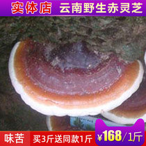 Wild Ganoderma lucidum Yunnan deep mountains natural pruning Ganoderma lucidum pure wild sessile red Ganoderma lucidum 500g buy 3 get 1