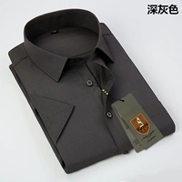 F082 Pure Grey Compool с короткими рукавами