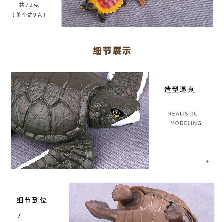 Игрушки-животные 仿真海龟模型玩具陆龟巴西龟海洋生动物道具儿童玩具早教乌龟摆件