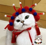 Питомец -китайский ветер Цветок Дэн Матто Мао Дуджиу Су -шляпа собака Пекин