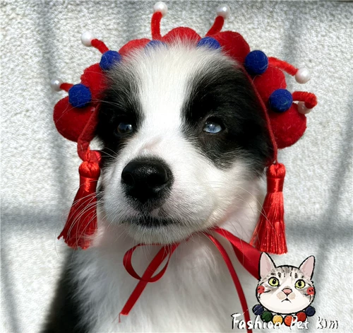 Питомец -китайский ветер Цветок Дэн Матто Мао Дуджиу Су -шляпа собака Пекин