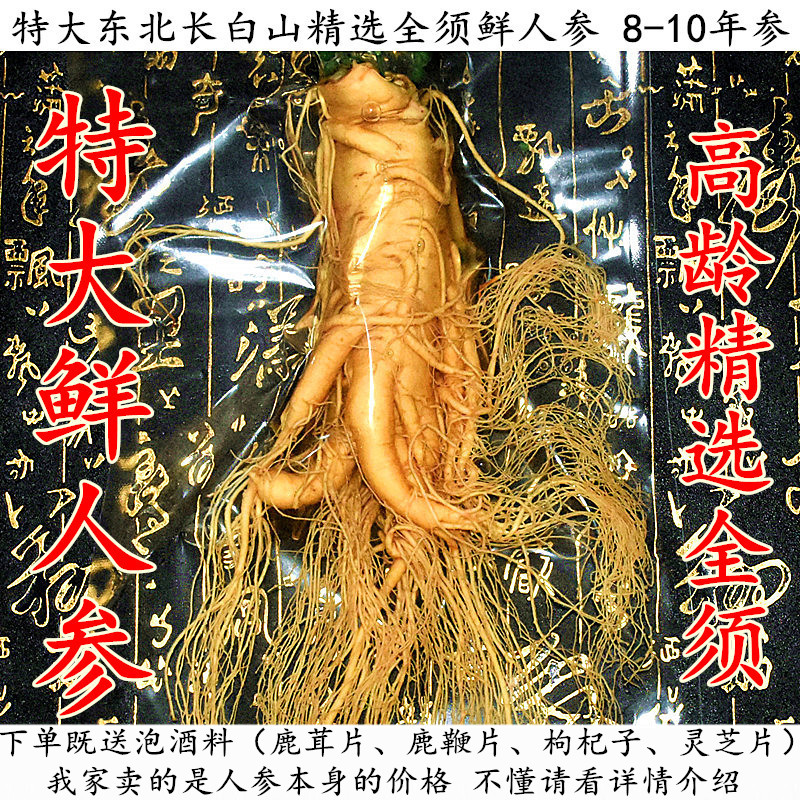 Northeast Changbai Mountain Extra Large whole branches fresh ginseng Mao Heavy 500 gr 8-10 8-10 years of wild Mountain Ginseng Forest Under