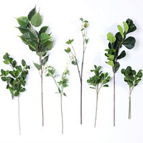Fake leaf simulation leaf flower decoration ins Wind green leaf plant single high quality home soft dress floral material