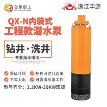 Zhejiang Fengyuan pump industry built-in submersible electric pump high lift range high flow high pressure industrial and mining sewage pump and accessories