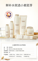 Kangaroo mother pregnant women skin care products natural wheat germ water feel six sets of pregnant women cosmetics set store