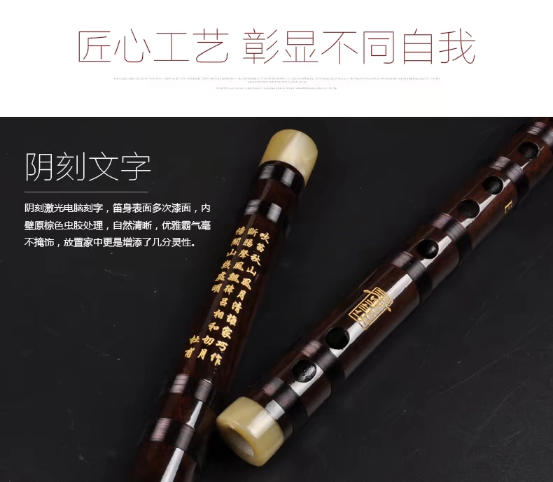 Dong Shenghua, sáo mun, sáo, sinh viên tre, g, f, biểu diễn chuyên nghiệp, người mới bắt đầu, giới thiệu về nhạc cụ, sáo - Nhạc cụ dân tộc