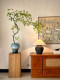 Flowing Spring Maple Artificial Green Plant High-End Ancient Style New Chinese Style Fake Flower Tea Room Decoration Zen Entrance Small Bonsai Ornament