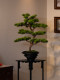 Five-Needle Welcoming Pine Artificial Green Plant Bonsai, High-End Light Luxury New Chinese Style Living Room Tea Room Decoration, Zen-Style Entrance Decoration