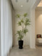 Haihong Jingpin Nandina Bamboo simulated green plants high-end light luxury indoor living room bionic fake plants large floor-standing potted plants