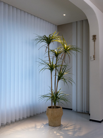 Haohongjingpin Dragon's Blood Tree Artificial Green Plant, High-End Light Luxury Indoor Living Room, High-Class Large Floor-Standing Potted Plant Decoration