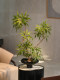 Top Ten Artificial Green Plants with Chinese Song Dynasty Aesthetics and Zen Style for Tea Table, Entryway Decoration, Fake Flower Potted Plants and Ornaments