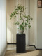 Flowing Spring Maple Artificial Green Plant Fake Flower Zen-Inspired New Song-Style Tea Room Decoration Entrance Ornament High-End Small Bonsai