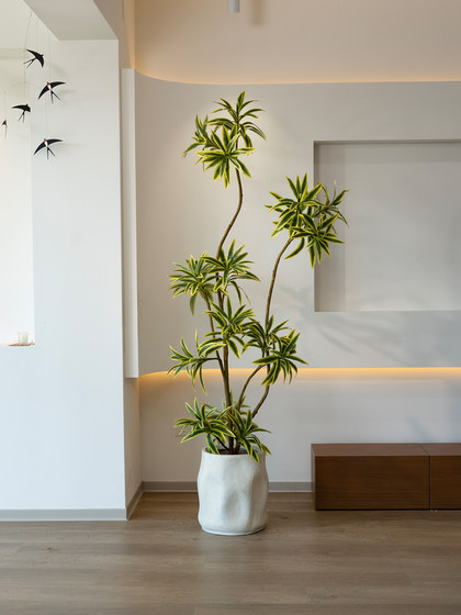 High-End Luxury Artificial Green Plant, Large Fake Tree Potted Decoration for Indoor Living Room, Featuring Golden-Edged Lily Bamboo