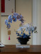 Artificial Phalaenopsis Orchid Plant Bonsai, High-End Realistic Decoration for Entryway, Living Room, Dining Room, and Tabletop