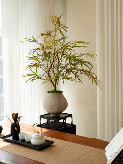 Colorful Gradient Peacock Wood Fortune Tree, Artificial Green Plant, High-End Decorative Ornament, Fake Flower, Small Potted Plant, Vintage Tea Room