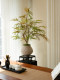 Colorful Gradient Peacock Wood Fortune Tree, Artificial Green Plant, High-End Decorative Ornament, Fake Flower, Small Potted Plant, Vintage Tea Room