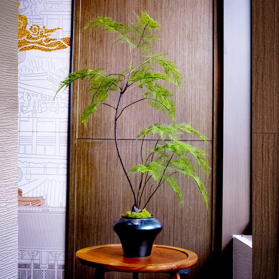 Asparagus artificial green plants, artificial flowers, high-end antique style, new Chinese tea room decoration, Zen entrance ornaments, small bonsai