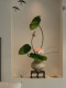 Lotus Artificial Flower Bonsai, High-End and Realistic, Suitable for Entrance, Tea Room, Song Dynasty Aesthetic Decoration, New Chinese-Style Living and Dining Room