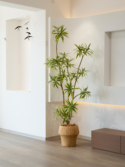 High-End Luxury Artificial Green Plant, Large Fake Tree Potted Decoration for Indoor Living Room, Featuring Golden-Edged Lily Bamboo