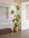 High-End Luxury Artificial Green Plant, Large Fake Tree Potted Decoration for Indoor Living Room, Featuring Golden-Edged Lily Bamboo