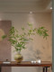 Bamboo Artificial Green Plant Potted Plant, Song Dynasty Aesthetics, Soft Decoration, Zen Style Ornament, Chinese-Style Living Room, Dining Room, Tea Room, Study Room Decoration